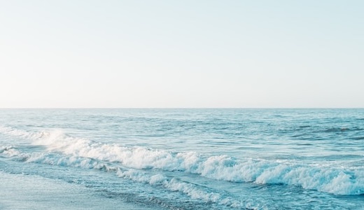 【vol.41 ゾイド HMM ライガーゼロ イエーガー マーキングプラス 】 レビュー