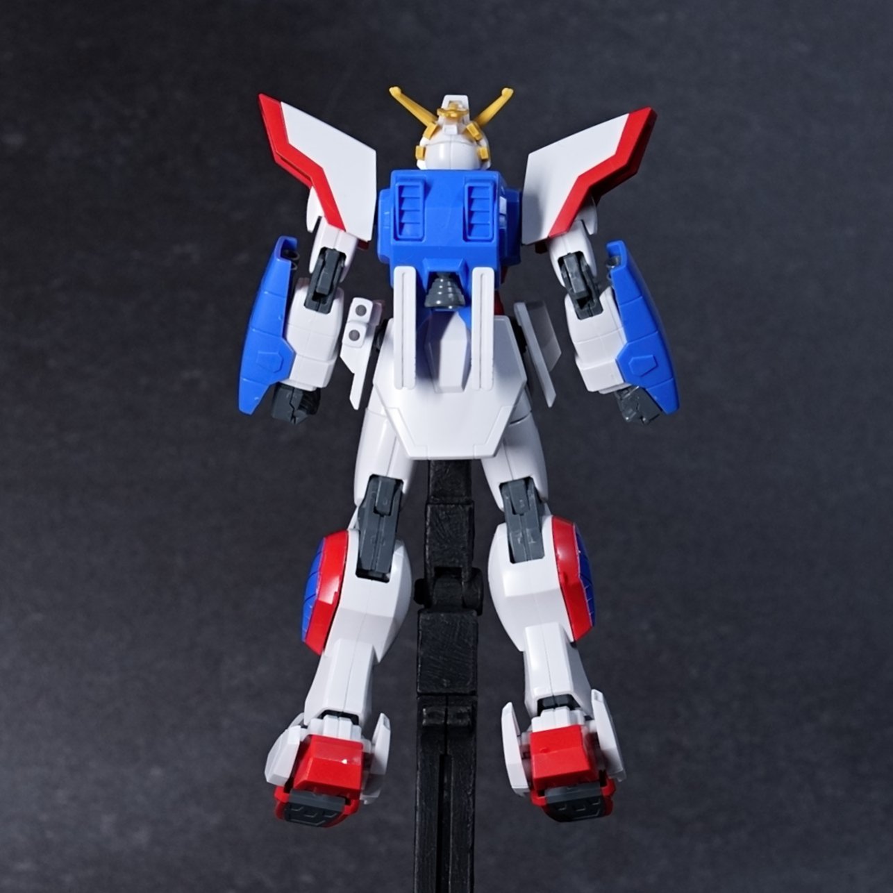 HGFC 1/144 シャイニングガンダム 完成品 各アングル